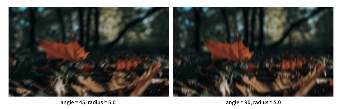 任意方向のブラー処理の結果