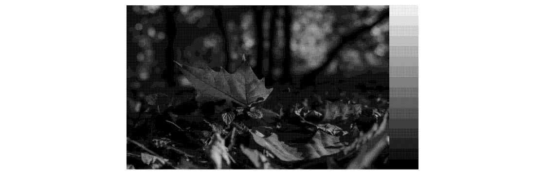 4x4のベイヤー型パターンで画像にディザを適応させた結果