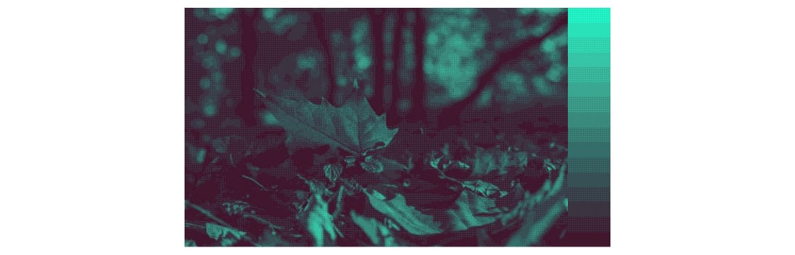 デュオトーンの適応