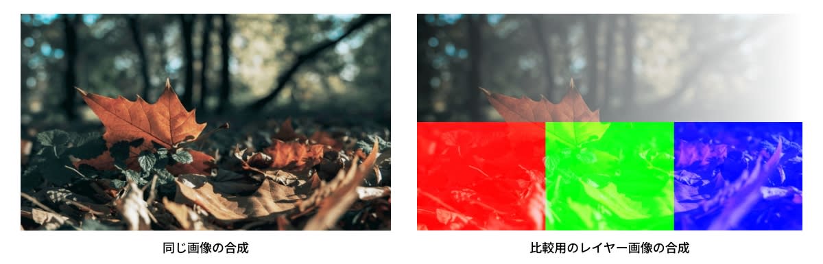 スクリーンの結果