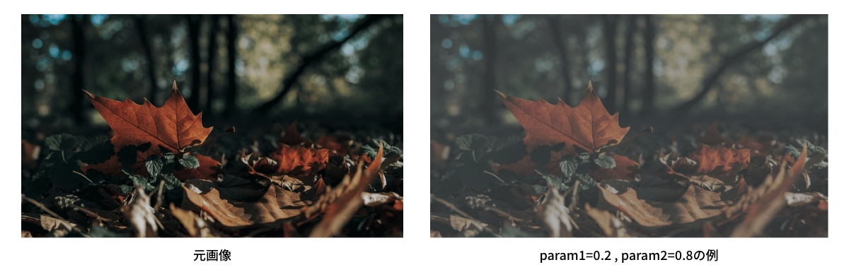 param1=0.2,param2=0.8の線形関数の例