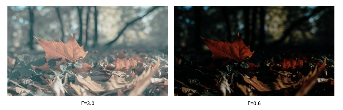 ガンマ補正の例
