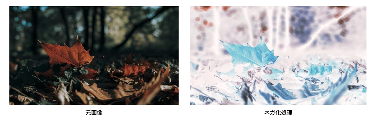 ネガ化処理