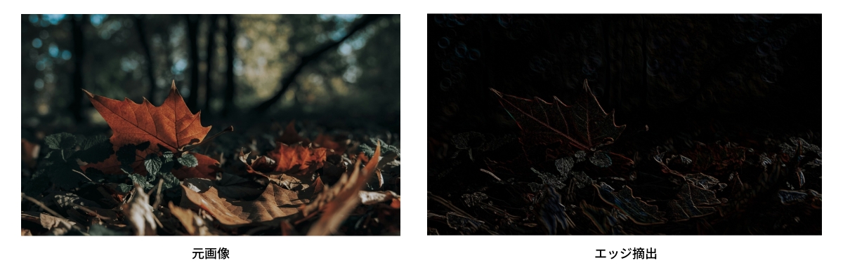 エッジ摘出の結果