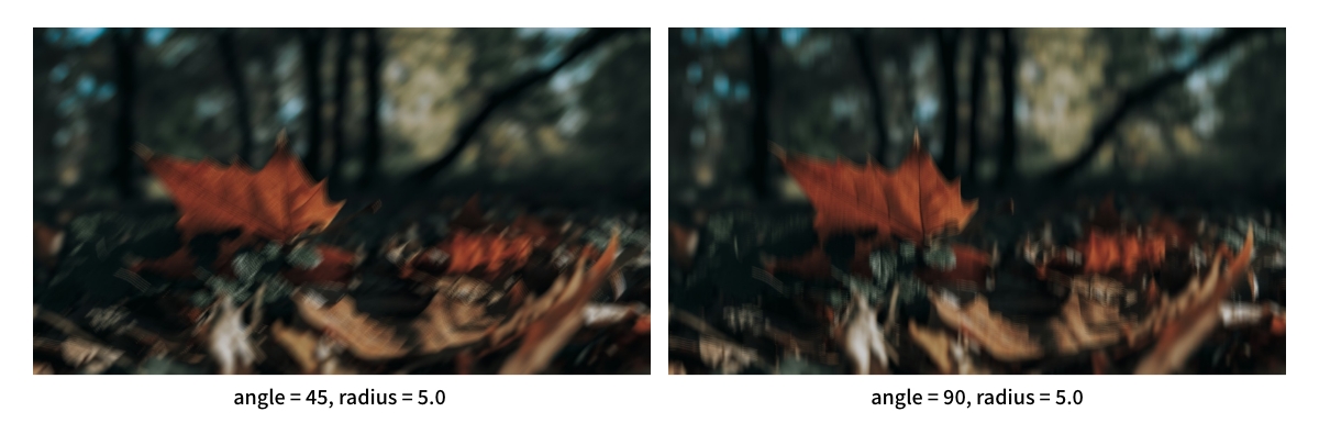 任意方向のブラー処理の結果