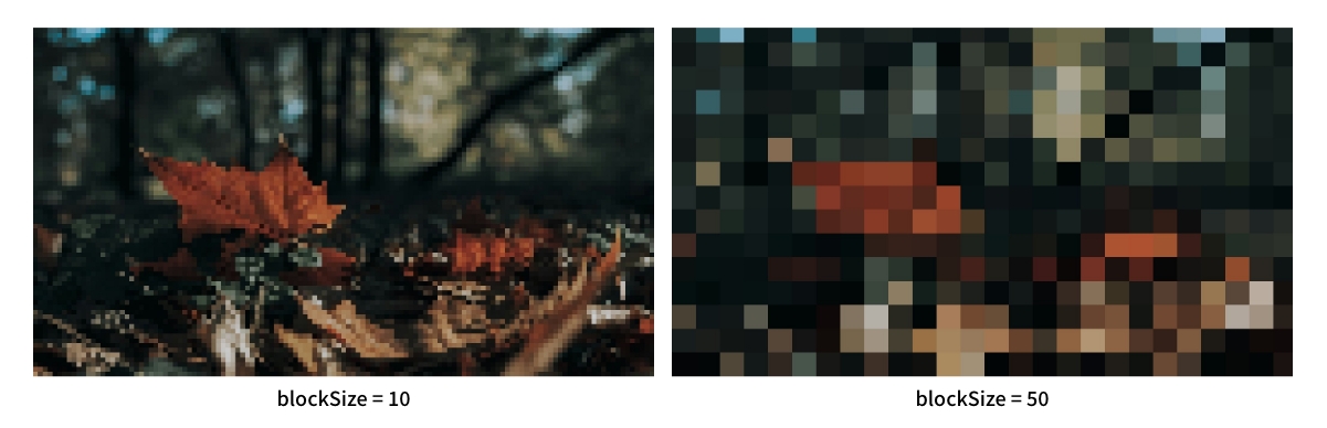 モザイク処理の結果