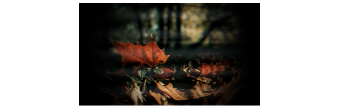 VHS調変換の結果