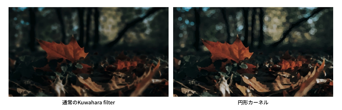 正方形カーネルと円形カーネルの比較