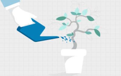 Grow Your Agency with Optimization