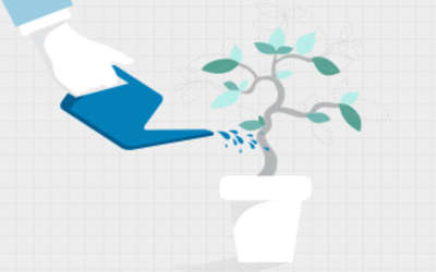 Grow Your Agency with Optimization