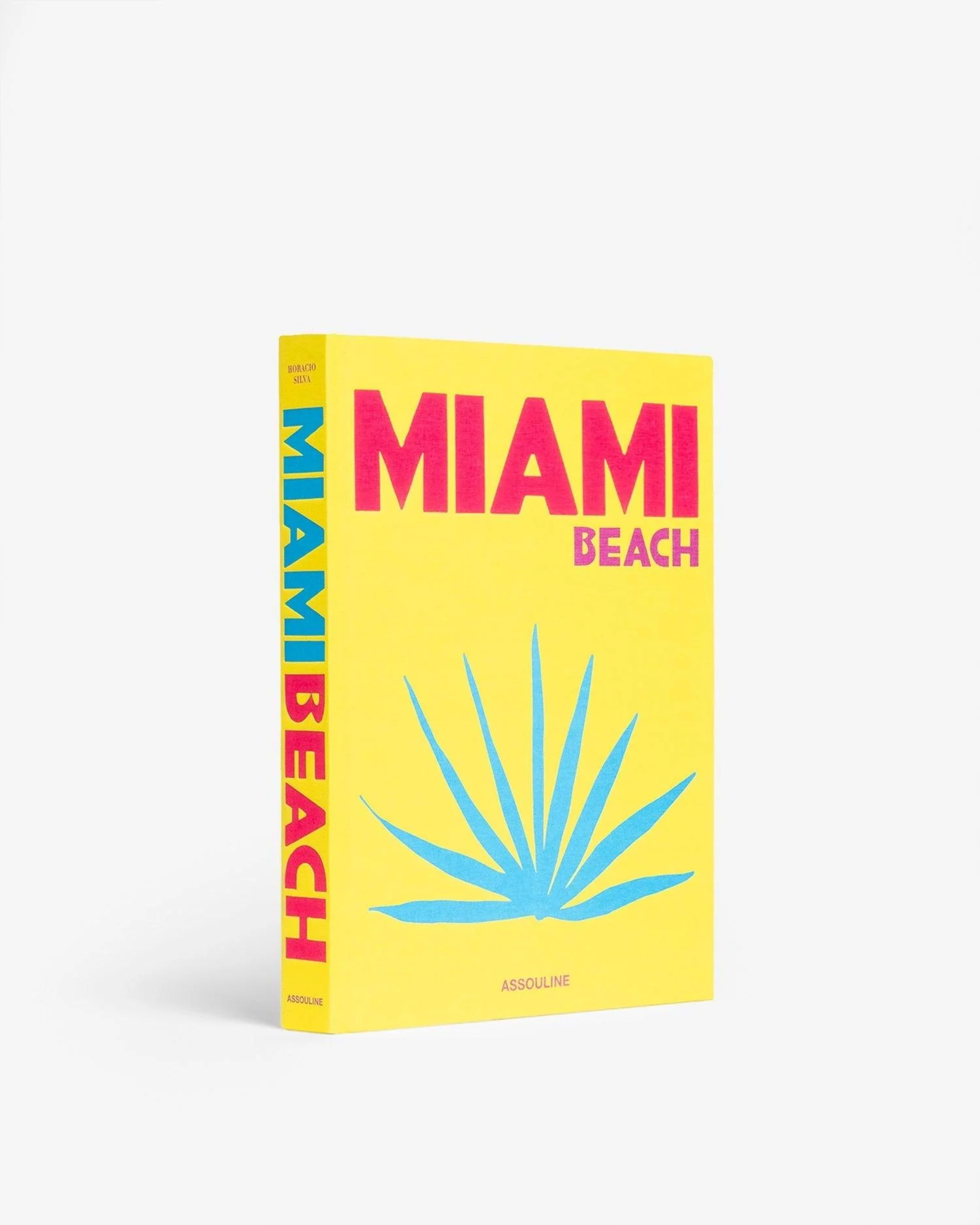 MIAMI BEACH ASSOULINE – image 1