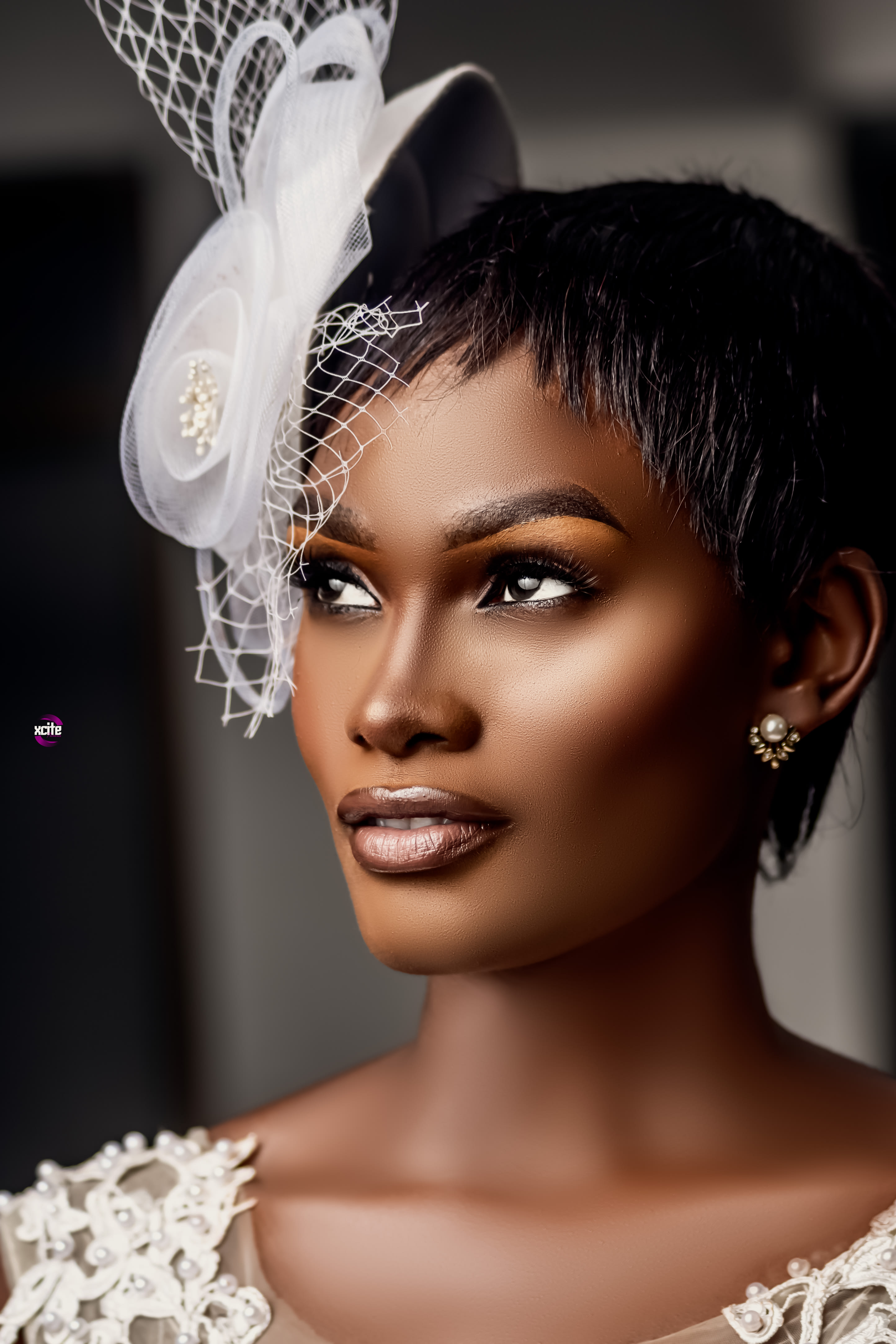 Xcite Pictures