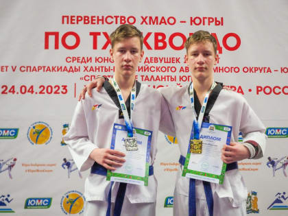 Как подрались близнецы