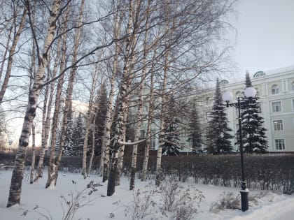 Александр Мещангин отчитался о парламентской работе за 2022 год