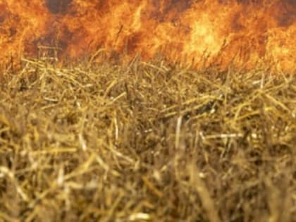 Югорчан научат тушить природные пожары