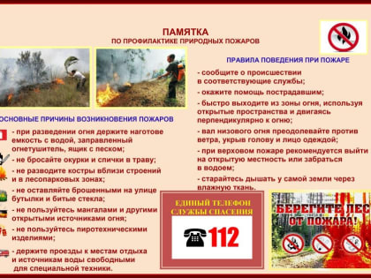 Осторожно, лесные пожары!