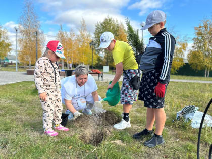 В Кондинском районе волонтеры озеленили парк