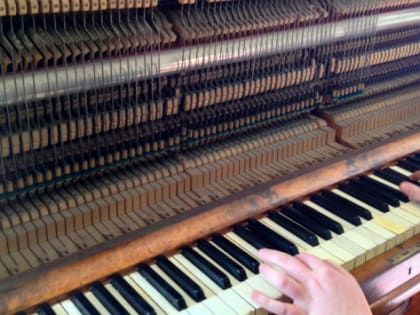 В Сургутском районе на оборудование школ искусств выделили 10 млн рублей