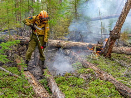 Владимир Якушев призвал регионы УрФО своевременно реагировать на пожары