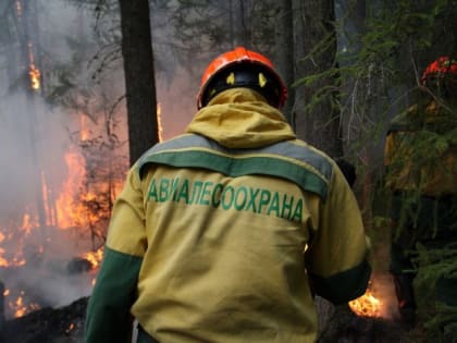 В Югре горят 13 природных пожаров