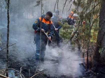 Наталья Комарова обратилась к югорчанам в связи с лесными пожарами