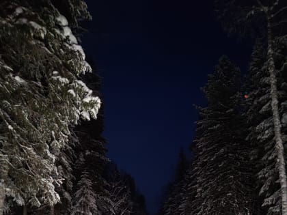 В с. Нялинское встретили праздник Рождества Христова