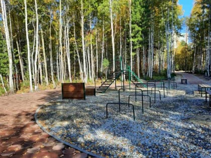 Формирование зелёного каркаса продолжается в Сургуте в рамках «Карты развития Югры»