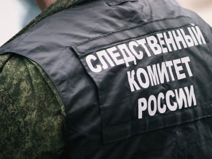 Глава СКР взял на контроль конфликт между многодетной матерью и властями в ХМАО