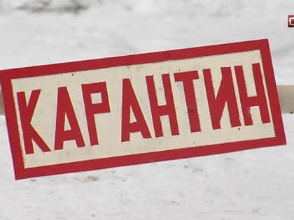 Карантин по бешенству животных установлен в природном парке Югры