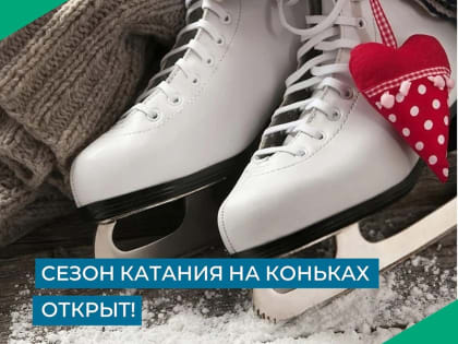 Осень в самом разгаре…