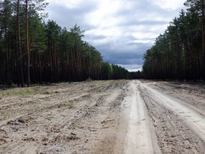 Проверка противопожарного обустройства лесов, прилегающих к населенным пунктам, в границах земель лесного фонда.