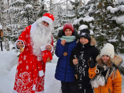 Владимир Семенов подвёл итоги рождественской недели