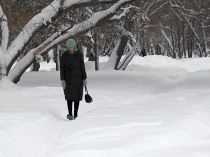 Погода в Сургуте, Нижневартовске и Ханты-Мансийске на 19 марта