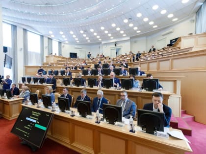 Депутаты ЛДПР проголосовали против очередных поправок в региональный бюджет