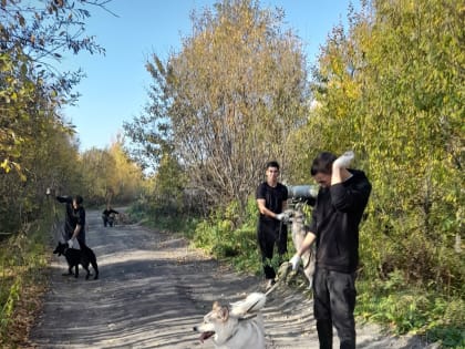 Региональный проект «Студенческая неделя добра в Югре» Дорога к дому