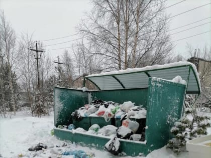 Александра Глотова: «Депутатская команда против мусора!»