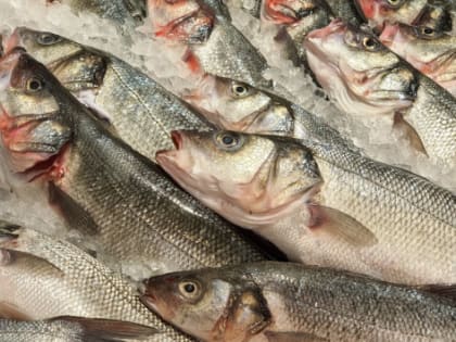 В Сургутском районе запустят производство консервов