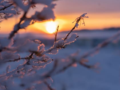 Эксперты обещают рост доходов населения Югры
