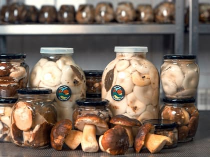 Югорские дикоросы могут стать «Народным органическим брендом»