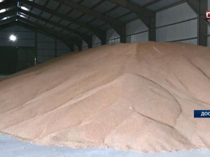 На финишную прямую вышла кампания по уборке урожая в УрФО