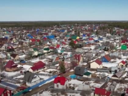 Дачники Сургута записали видеообращение к президенту России