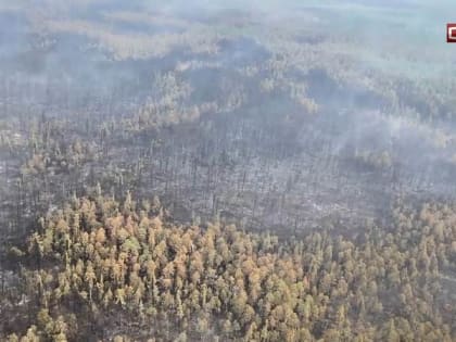 Югре и Тюменской области компенсируют затраты на тушение лесных пожаров