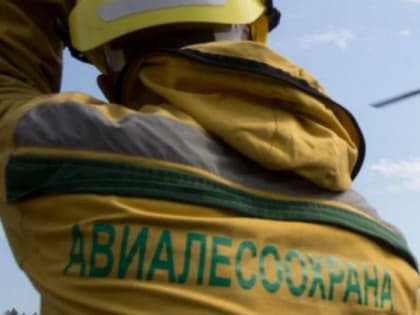 За сутки в Югре потушили два лесных пожара