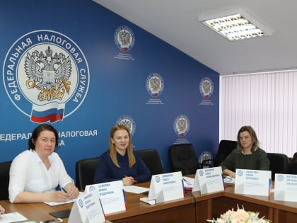 Об актуализации промостраницы Единый налоговый счет рассказали спикеры онлайн-вебинара