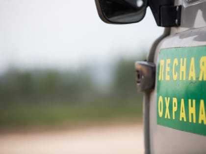 В Белоярском районе Югры сняли режим ЧС в лесах
