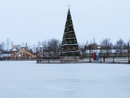 Куда сходить всей семьей в новогодние праздники? На каток!