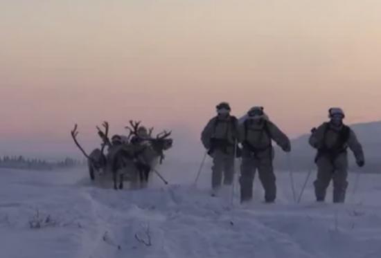 Призыв в районах крайнего севера. Медведи в Катангском районе фото.