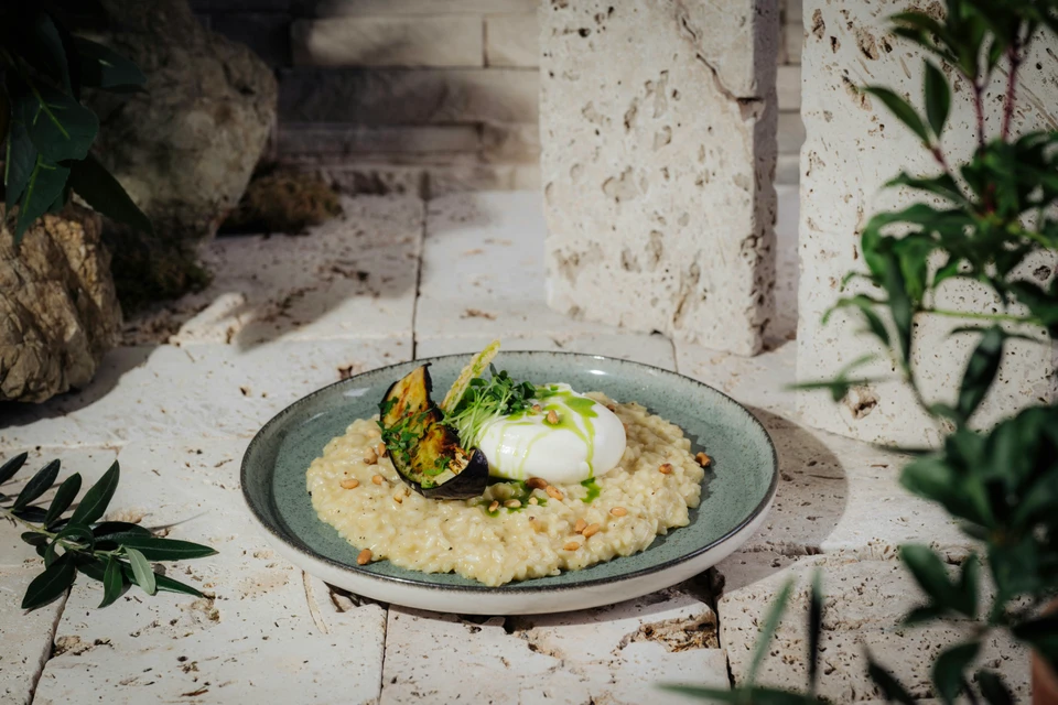 Risotto Melanzana e Burrata