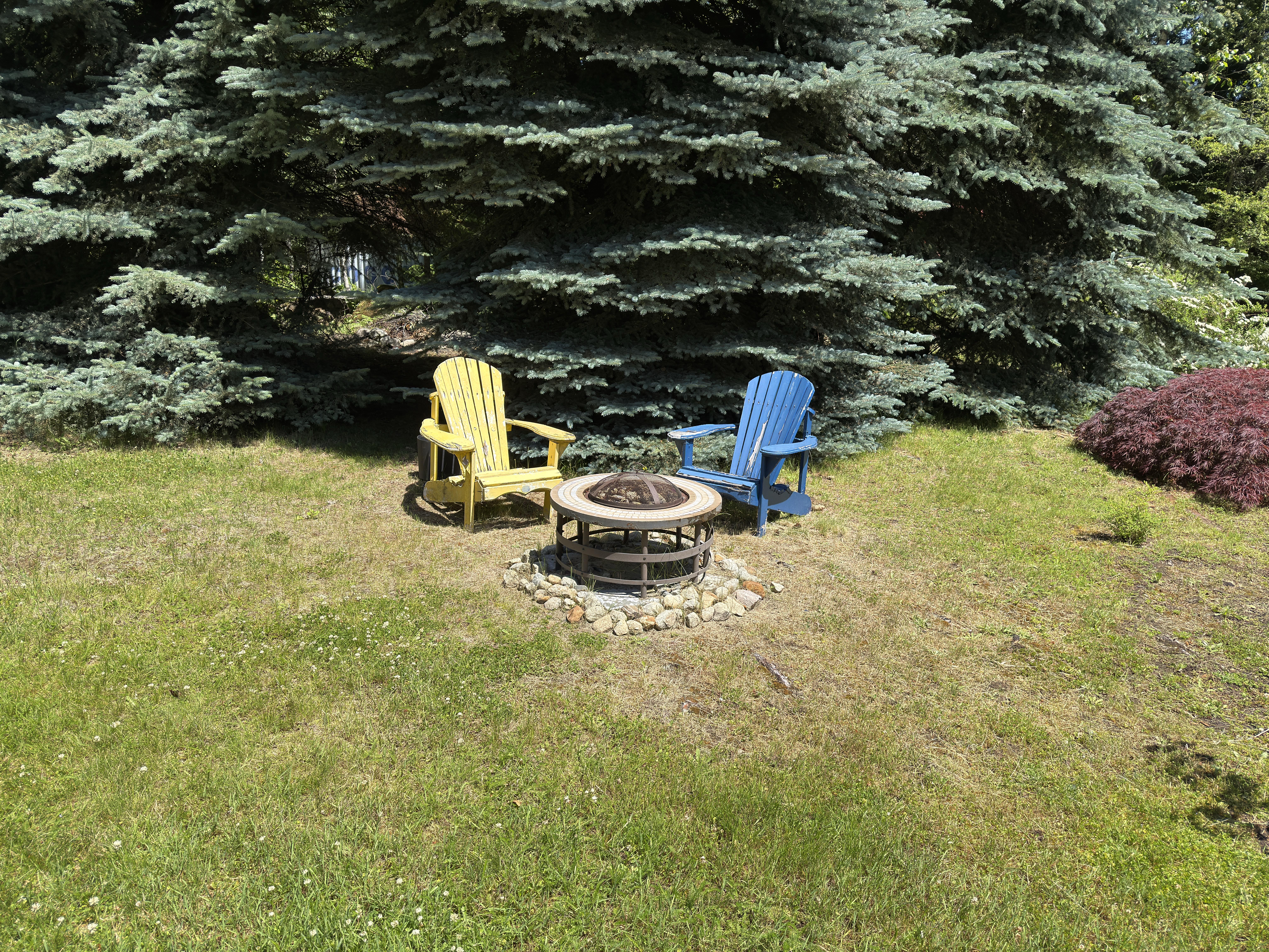 Private firepit area among mature trees at 7077 Beggs Road