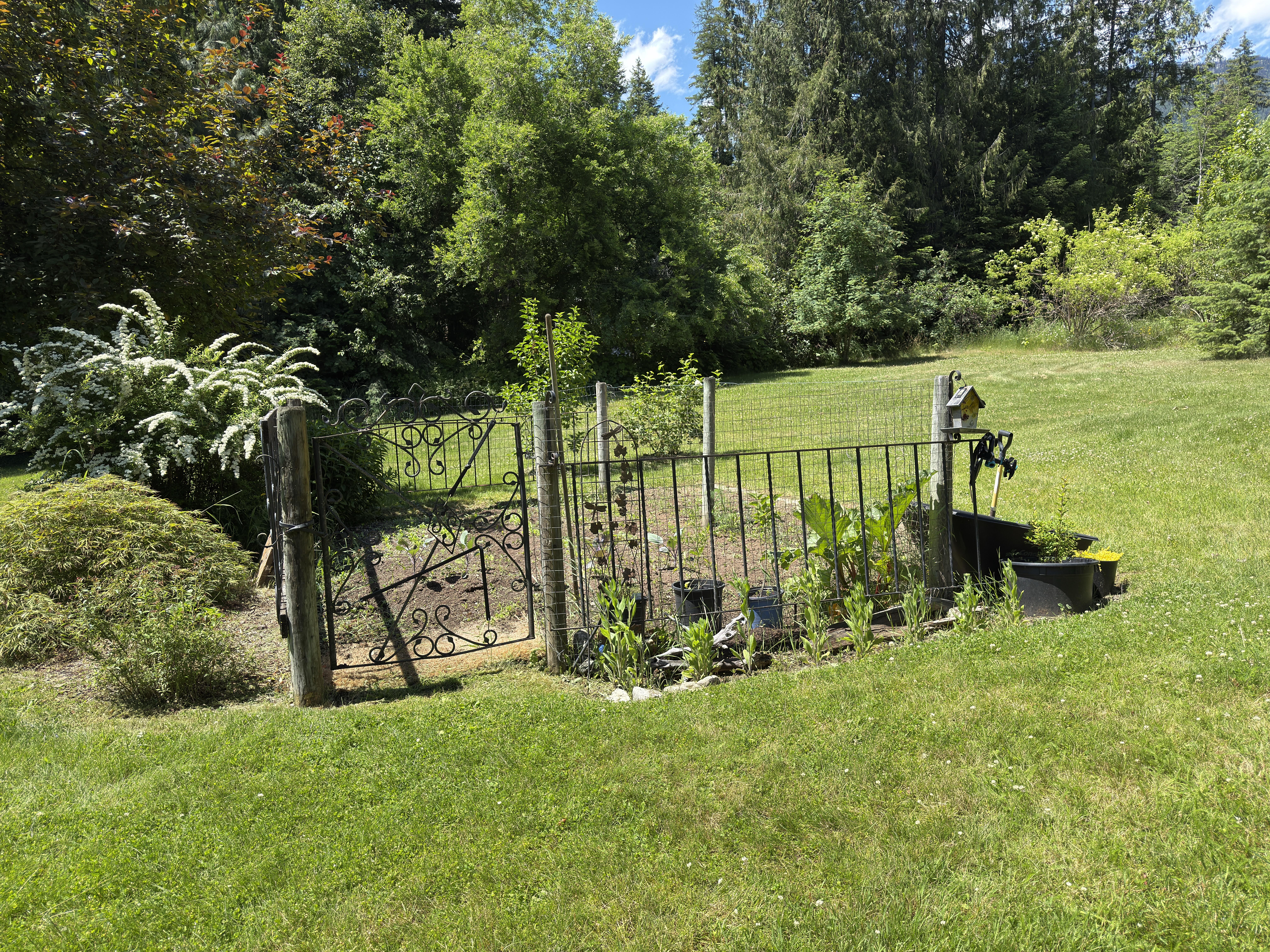 Fenced vegetable garden at 7077 Beggs Road